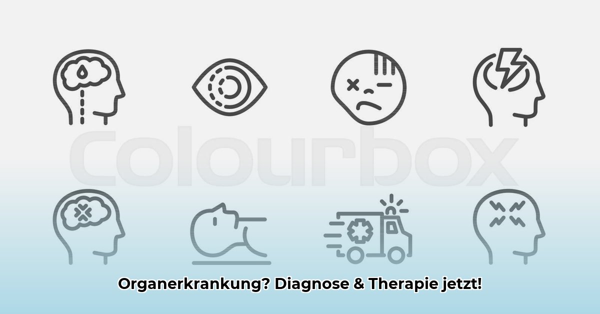 erkrankung-eines-organs